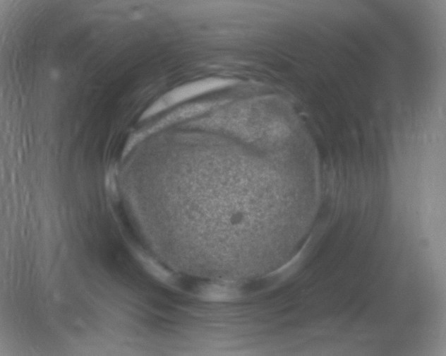 X0000082140094200702021620