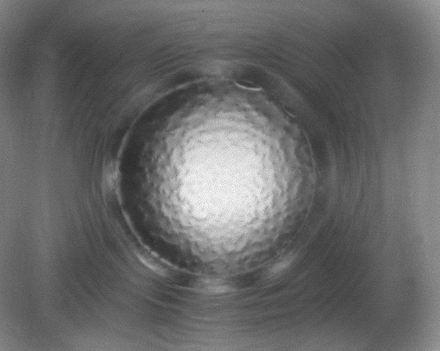 X0000082140095200702021620