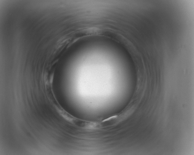 X0000082140096200702021620