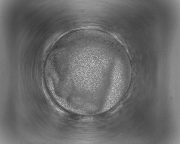 X0000082140097200702021619