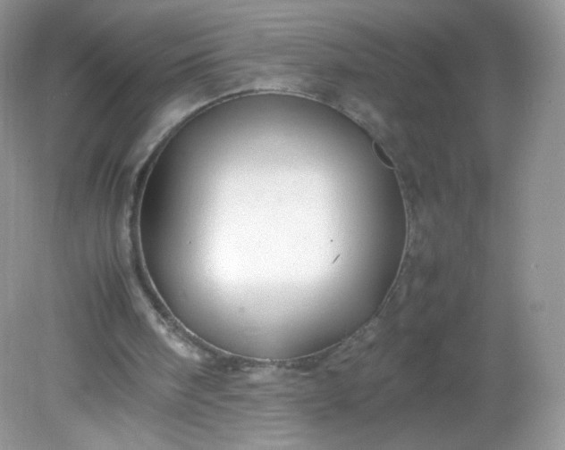 X0000082140098200702021619