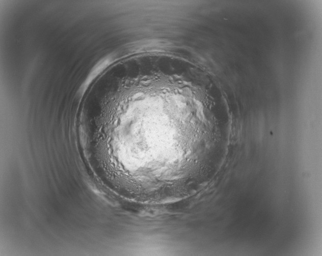 X0000082140099200702021619