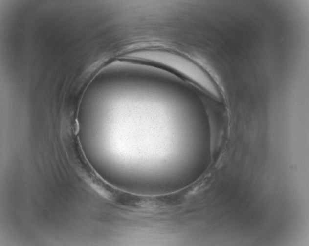 X0000082140105200702021619