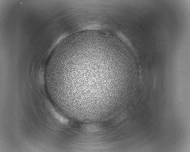 X0000082140106200702021619