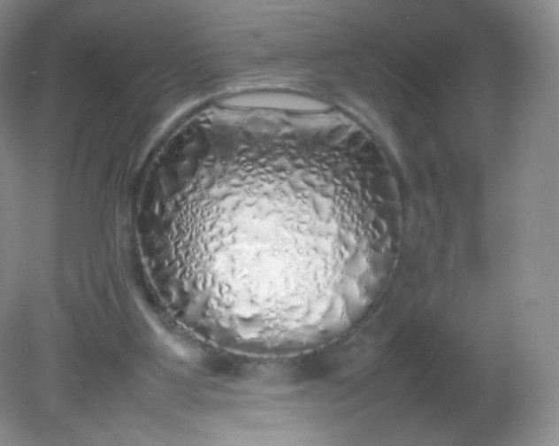 X0000082140107200702021619