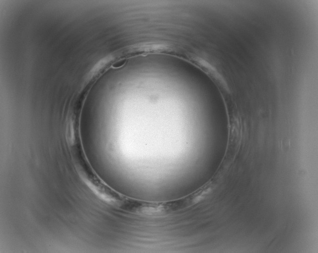 X0000082140110200702021619