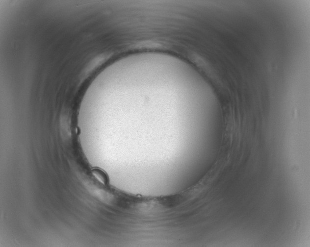 X0000082140112200702021619