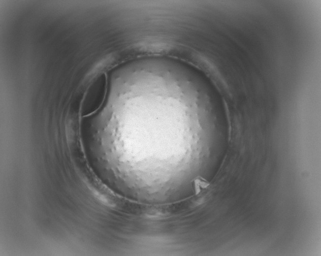 X0000082140114200702021619