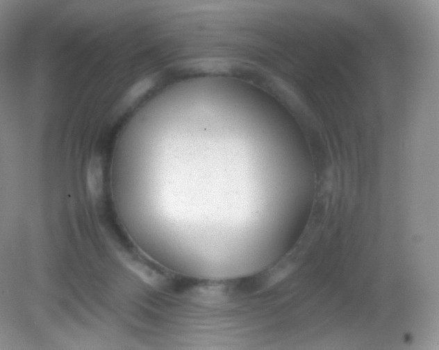 X0000082140120200702021619