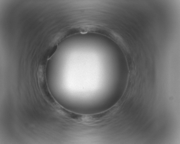 X0000082140121200702021619