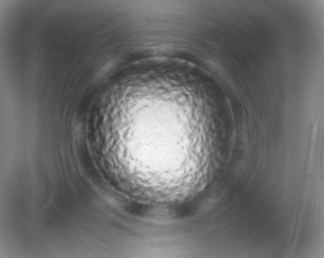 X0000082140123200702021619