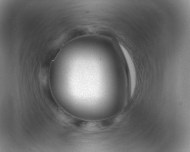 X0000082140129200702021619