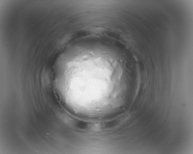 X0000082140131200702021619