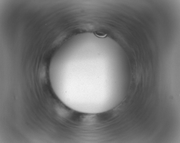 X0000082140132200702021619