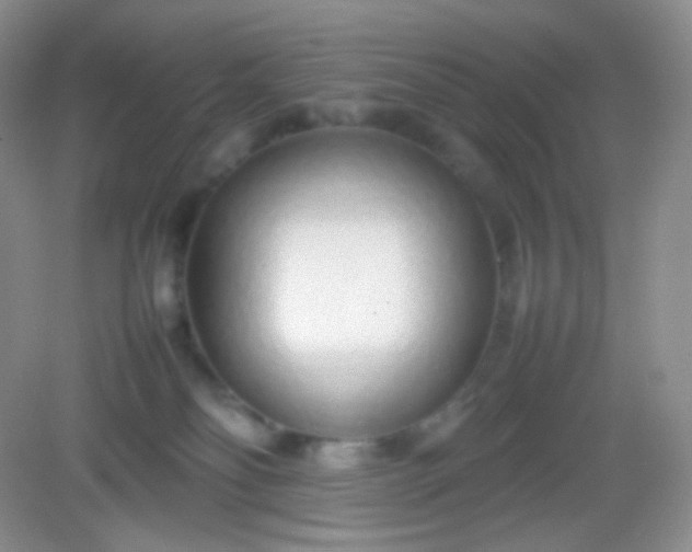 X0000082140134200702021619