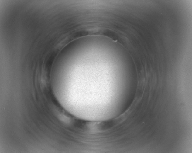 X0000082140136200702021619