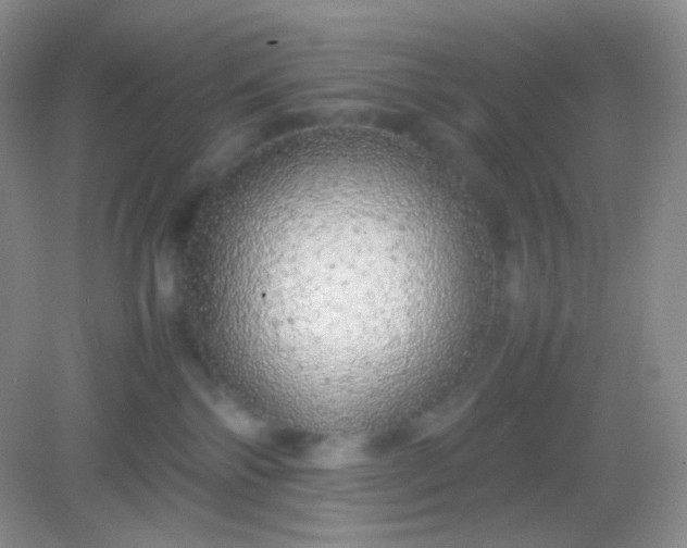 X0000082140138200702021619