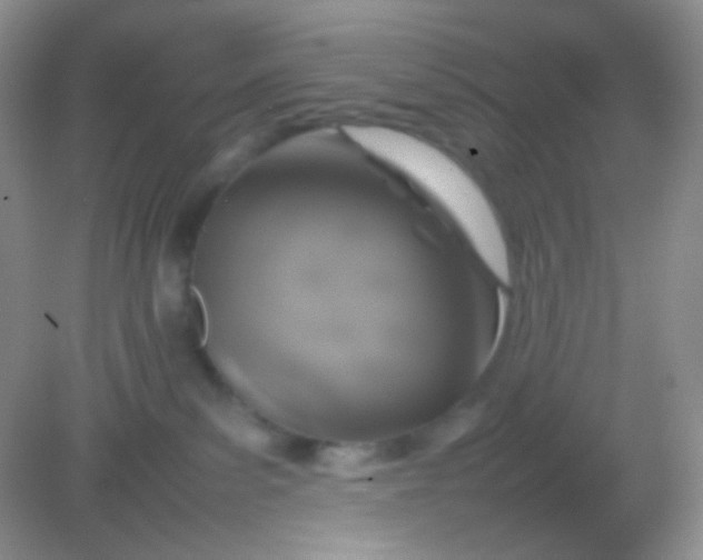 X0000082140139200702021619