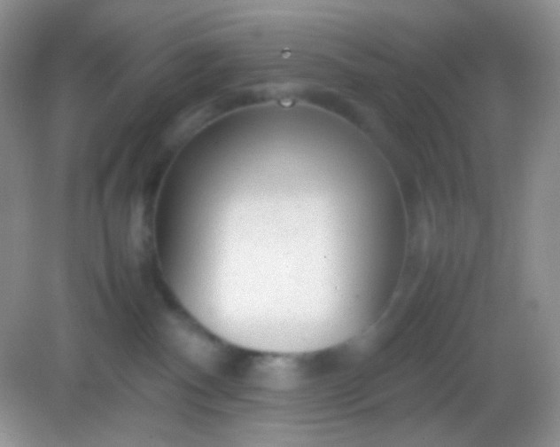 X0000082140140200702021619