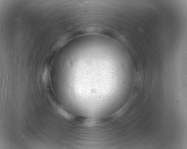 X0000082140142200702021619