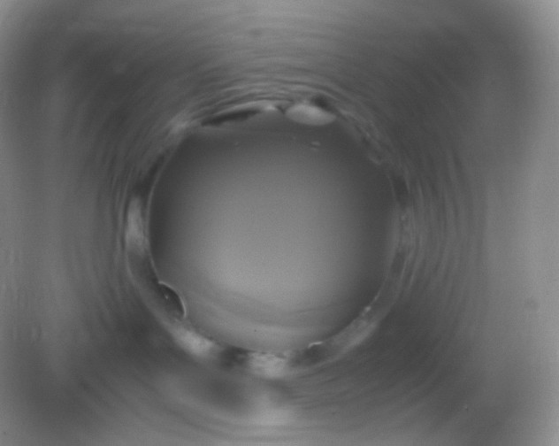 X0000082140143200702021619