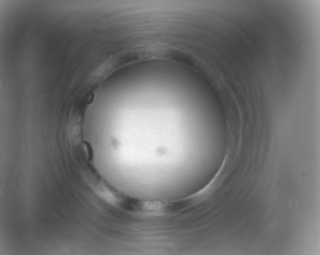 X0000082140144200702021619