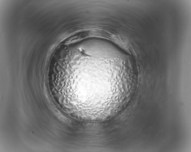 X0000082140145200702021618