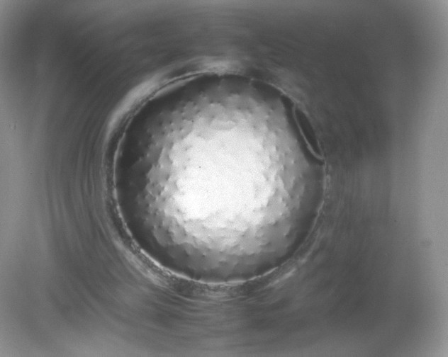 X0000082140149200702021618
