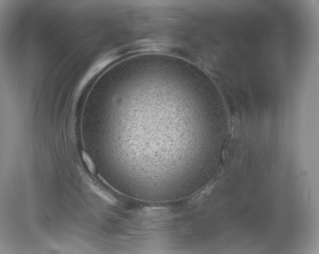 X0000082140150200702021618