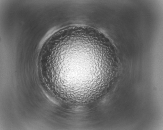 X0000082140151200702021618