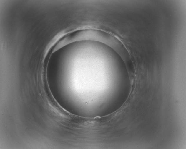 X0000082140152200702021618