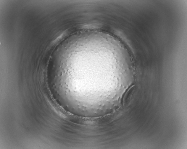 X0000082140153200702021618