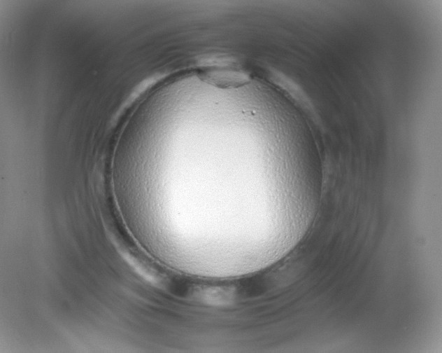 X0000082140155200702021618