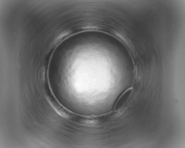 X0000082140157200702021618