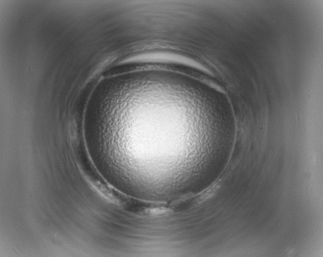 X0000082140158200702021618
