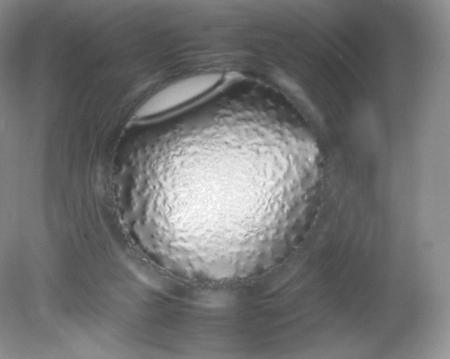 X0000082140161200702021618