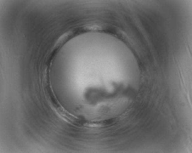 X0000082140163200702021618