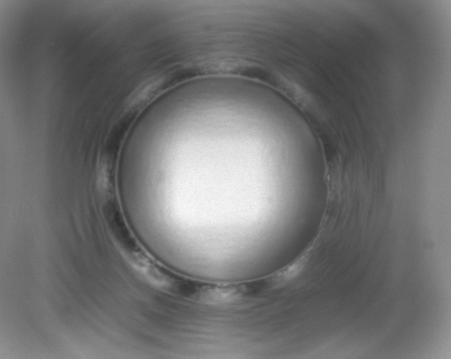 X0000082140166200702021618