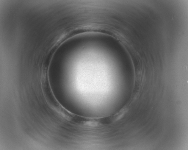 X0000082140168200702021618