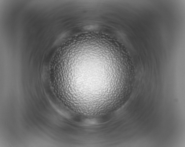 X0000082140171200702021618