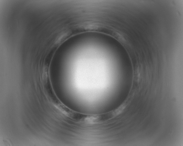 X0000082140172200702021618