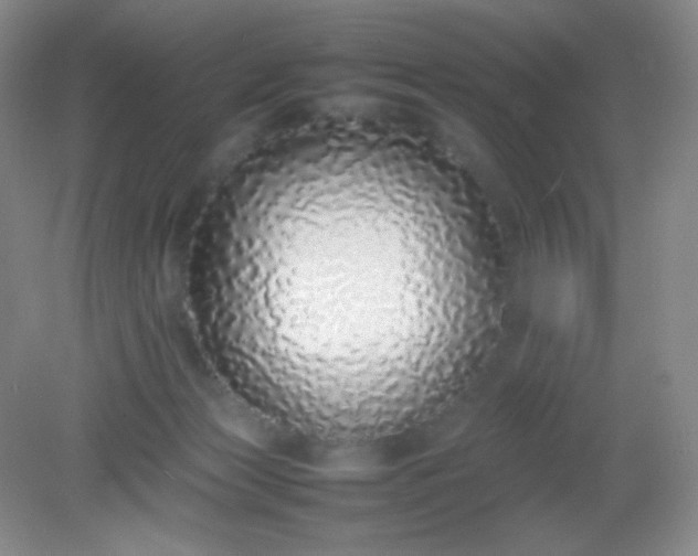 X0000082140173200702021618