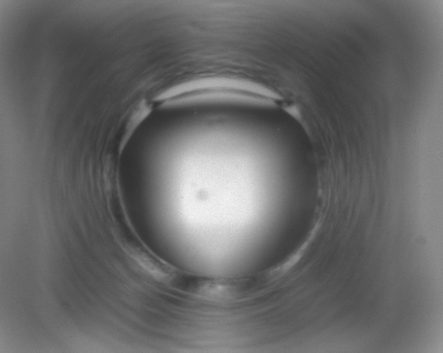 X0000082140174200702021618