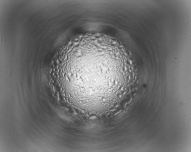 X0000082140175200702021618