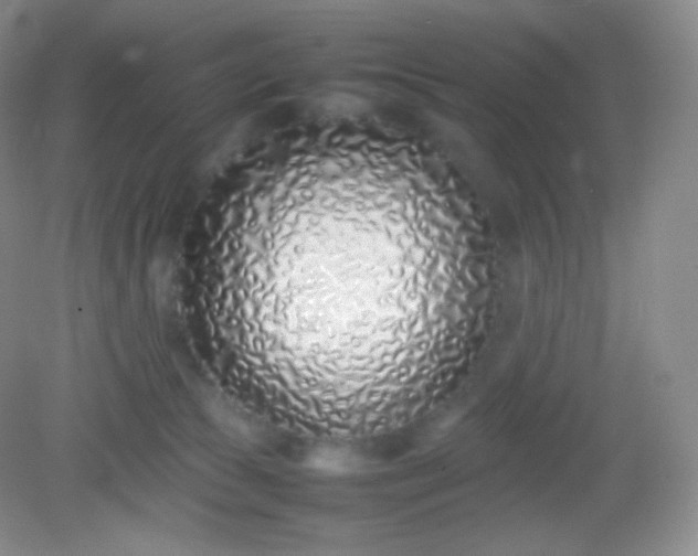 X0000082140177200702021618