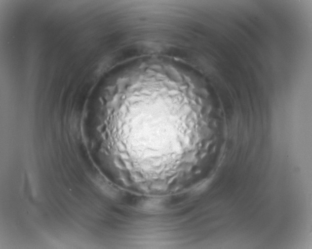 X0000082140178200702021618