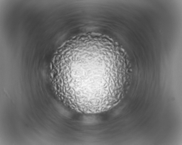 X0000082140181200702021618