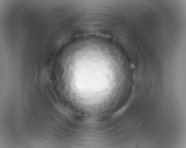 X0000082140182200702021618