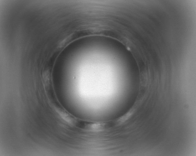 X0000082140184200702021618