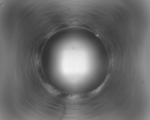 X0000082140186200702021619